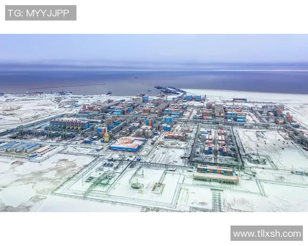 亚马尔地区能源开发与国际合作新机遇探讨