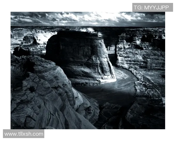 亚当斯的探索之旅：揭示科学与人文交汇的奥秘与未来展望