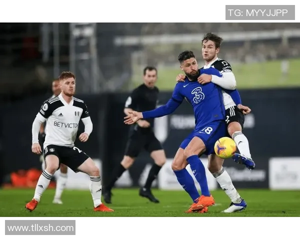 加的夫城迎战西布朗展现英冠激烈对决精彩瞬间回顾