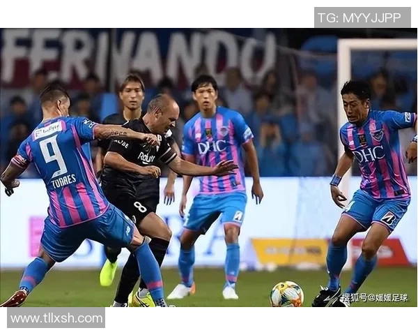 大公松鼠与长崎航海的奇妙对决探索自然与航海的奇幻旅程 大公松鼠与长崎航海的奇妙对决探索自然与航海的奇幻旅程