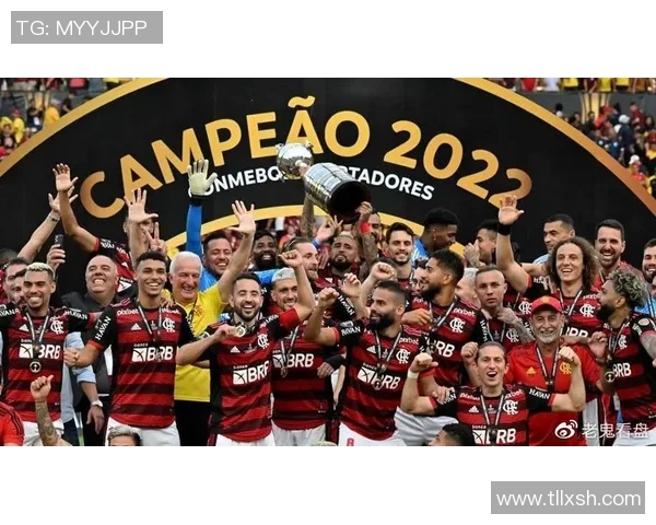 弗拉门戈与巴拉纳的激烈对决揭示巴西足球的魅力与竞争力