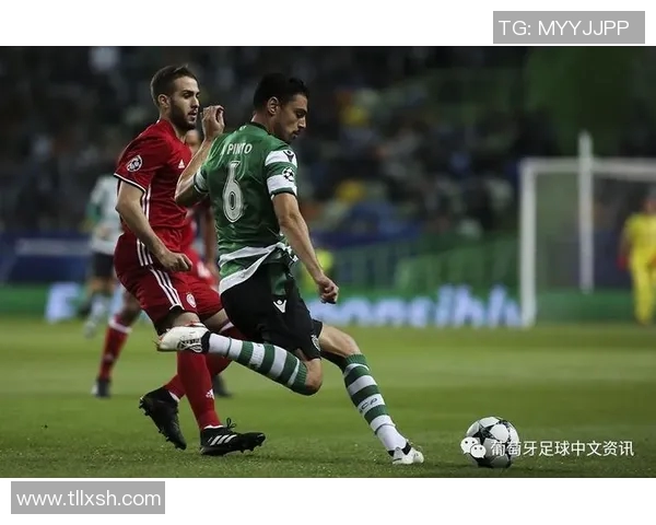 新西兰与葡萄牙精彩对决竞猜分析及预测攻略