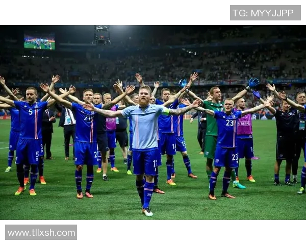 新泻天鹅与富山松鸡的精彩对决揭示日本足球的魅力与竞争力