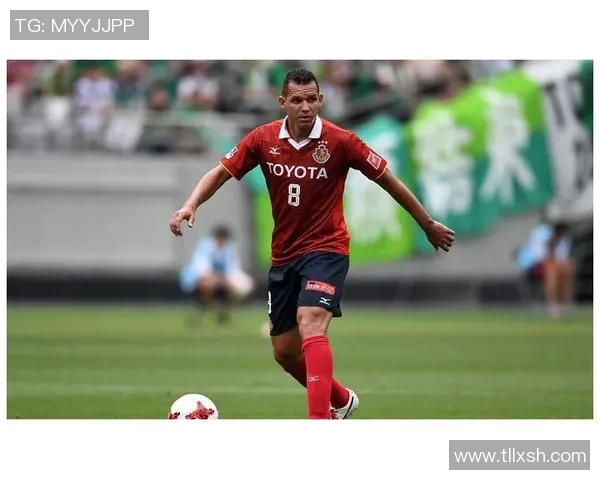 明尼苏达与圣何塞2019年精彩对决回顾与分析 明尼苏达与圣何塞2019年精彩对决回顾与分析