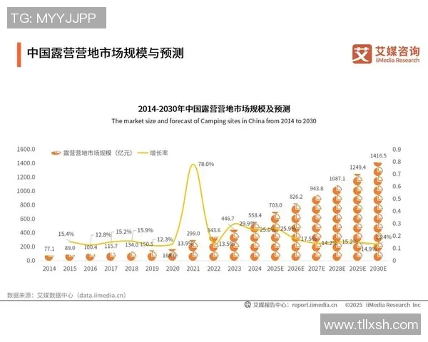 苏宁易购与华夏的竞争分析及市场前景探讨 苏宁易购与华夏的竞争分析及市场前景探讨